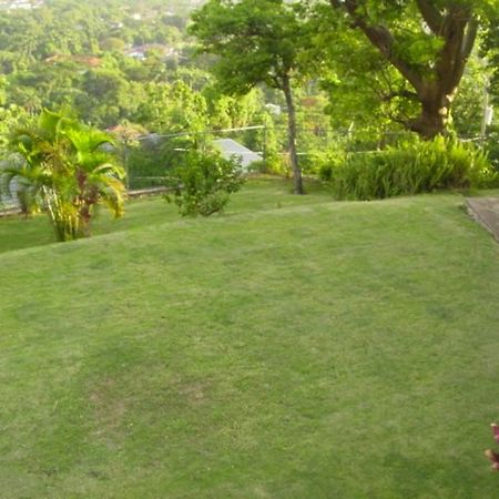 Hill Top Kingston Jamaica エクステリア 写真