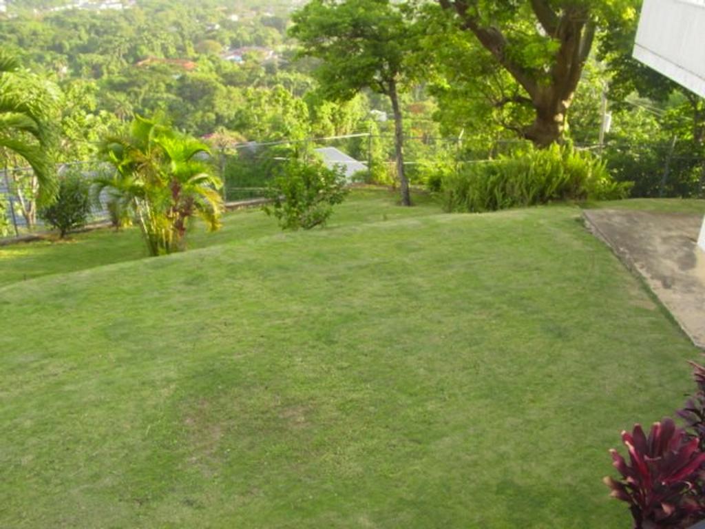 Hill Top Kingston Jamaica エクステリア 写真